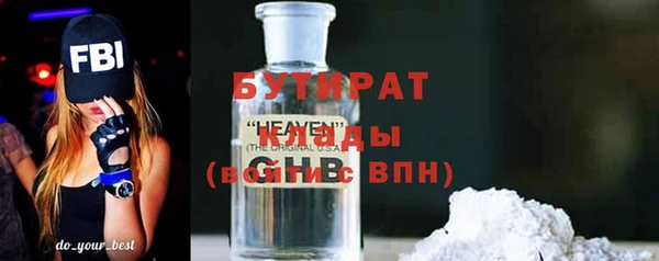 2c-b Ельня